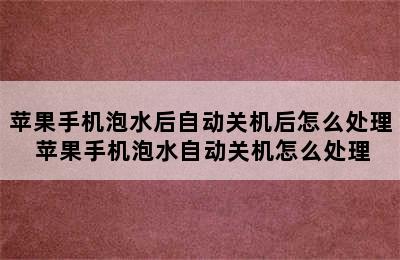 苹果手机泡水后自动关机后怎么处理 苹果手机泡水自动关机怎么处理